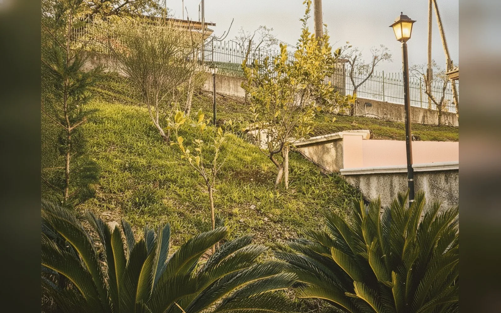 Villa Giulia Cilento, 