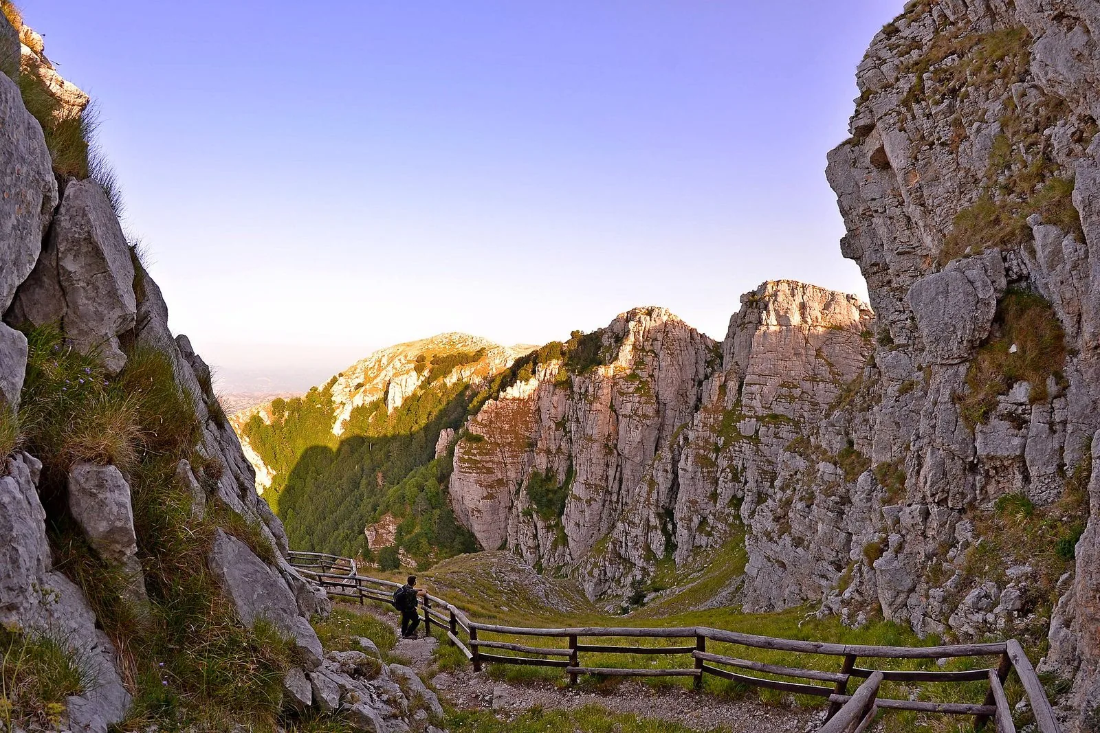 Sentiero sterrato che attraversa la macchia mediterranea del Cilento, con le colline sullo sfondo